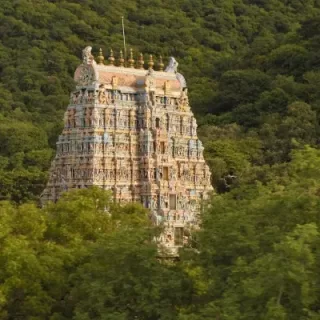 Arulmigu Kallazhagar Temple, Alagar Kovil