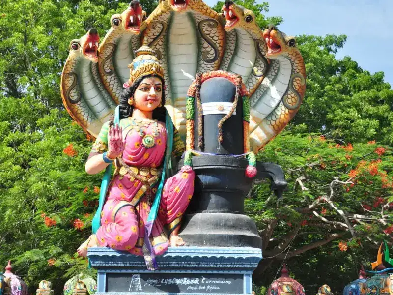 Pettai Amman Temple, Mettupalayam